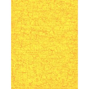 Article scolaire 163433