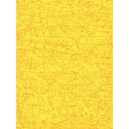 Article scolaire 229744