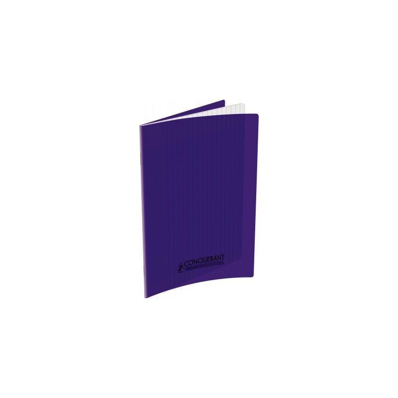 Achetez Piqûre 60 pages 17x22 cm seyès 90g couverture en polypropylène violet 100105475 HAMELIN p..