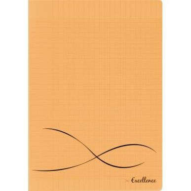 Achetez CONQUERANT C9 Cahier piqûre 24x32cm 48 pages 90g grands carreaux Séyès. Couverture polypr..