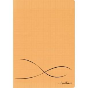 Achetez CONQUERANT C9 Cahier piqûre 24x32cm 96 pages 90g grands carreaux Séyès. Couverture polypr..