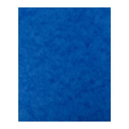 Achetez Lot de 10 protège-cahier 2 grands rabats format 18 x 22 cm carte lustrée coloris bleu P411..