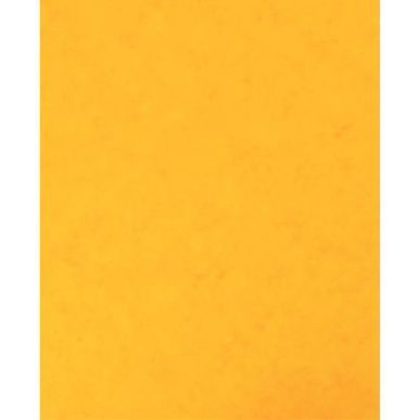 Achetez Lot de 10 protège-cahier 2 grands rabats format 18 x 22 cm carte lustrée coloris jaune P41..