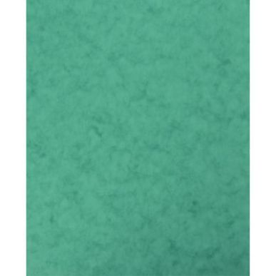 Achetez lot de 10 Protège-cahier 2 grands rabats  format 18 x 22 cm carte lustrée coloris vert P41..