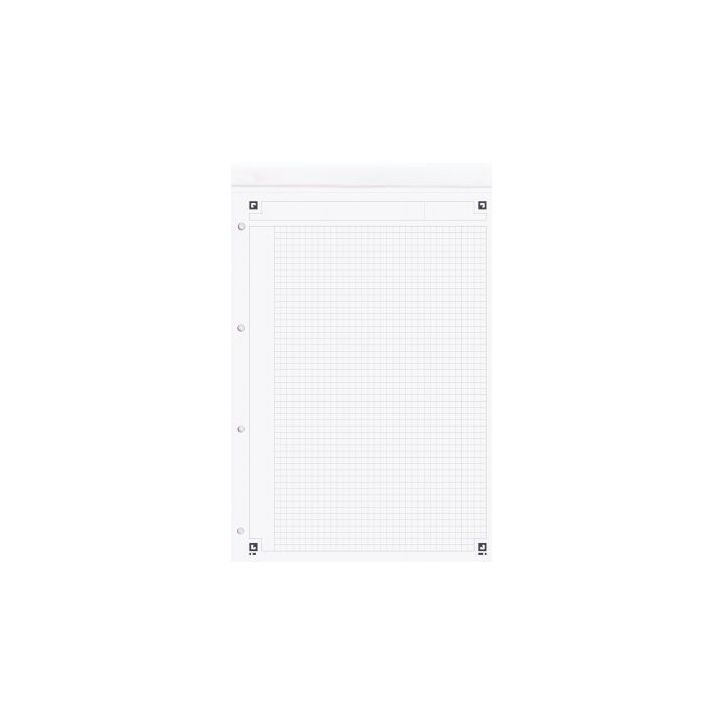 Bloc NOTEPAD 80 feuilles perforées 4 trous détachables 21x32 cm papier 80g blanc ligné 6 mm 100102359 OXFOR(...)
