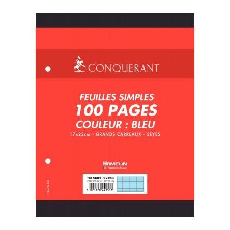 Achetez Sachet de 50 feuillets mobiles 17x22 cm seyès 80g, bleu 100102121 HAMELIN pas cher sur Ma R..