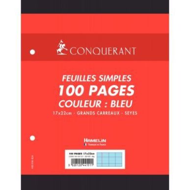 Achetez Sachet de 50 feuillets mobiles 17x22 cm seyès 80g, bleu 100102121 HAMELIN pas cher sur Ma R..