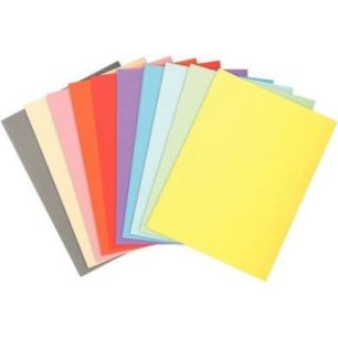 Achetez Paquet de 100 chemises 170g FOREVER, format 24x32 cm, coloris assortis 420000E FOREVER EXACO..