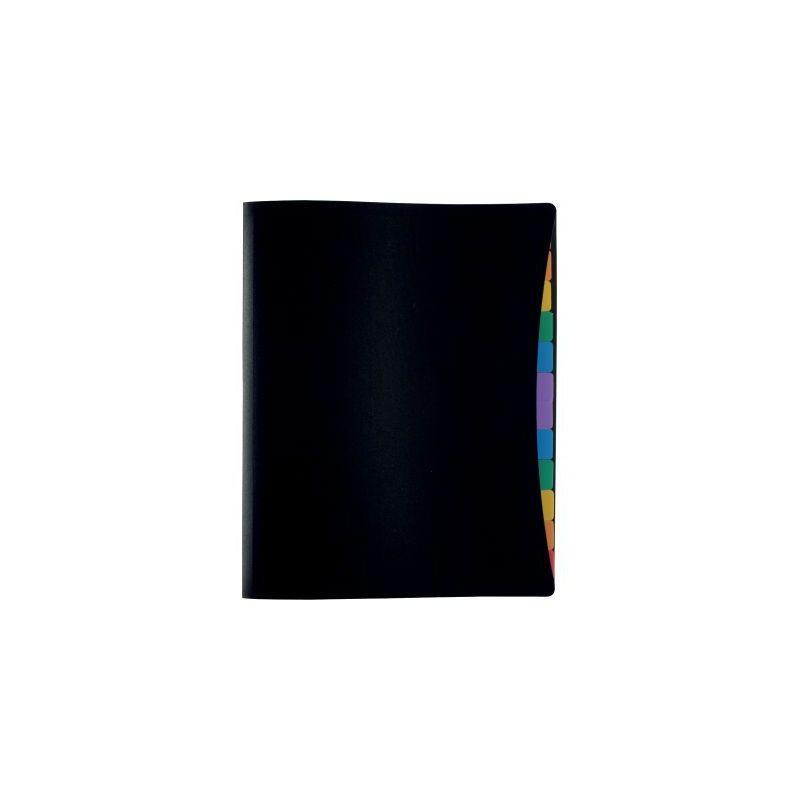 Achetez Trieur porte-vues en polypropylène, 12 compartiments 491067-05 RAINBOW CL VIQUEL pas cher s..