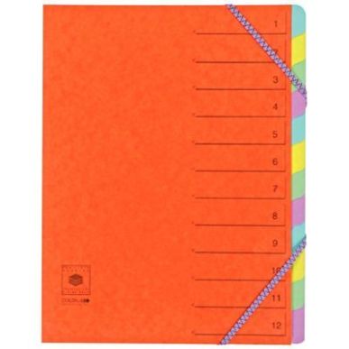 Achetez Trieur en carte lustrée 5/10ème fermeture par élastiques 12 compartiments T6905 COUTAL pa..