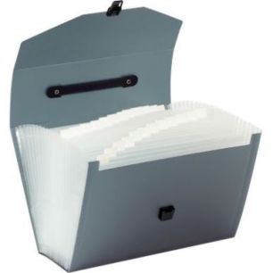 Achetez Valisette trieur en polypropylène, 24 compartiments, coloris assortis 117483-02 VIQUEL pas ..