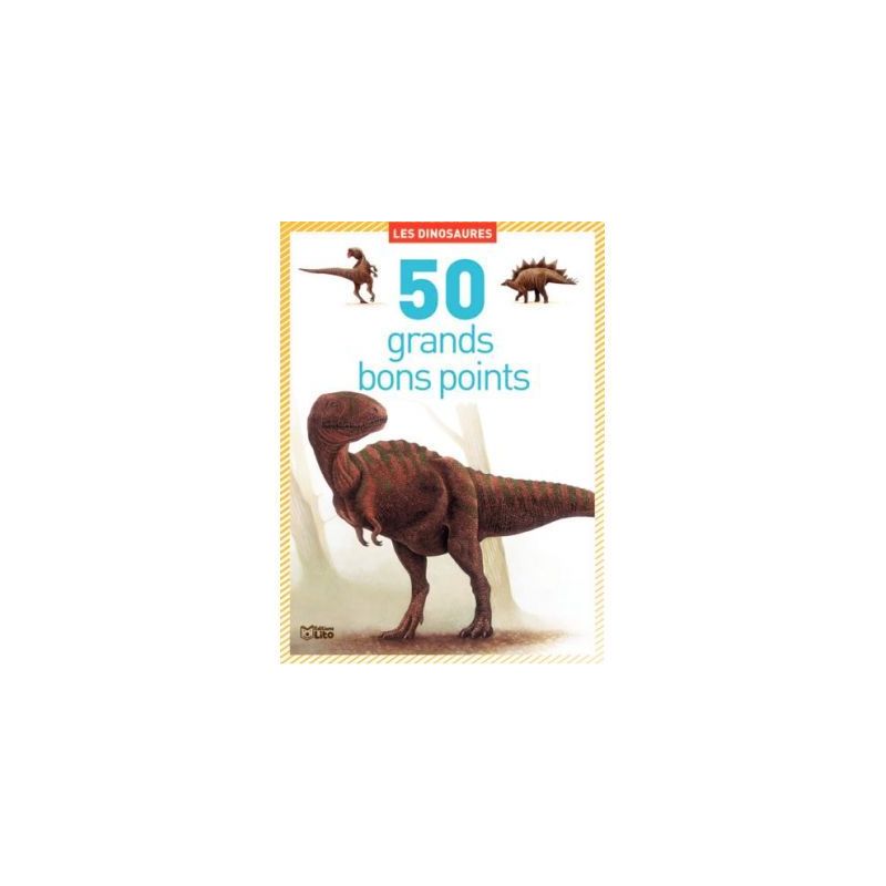 Achetez Boite de 50 grandes images Les dinosaures 01816 EDITIONS LITO pas cher sur Ma Rentrée Scola..