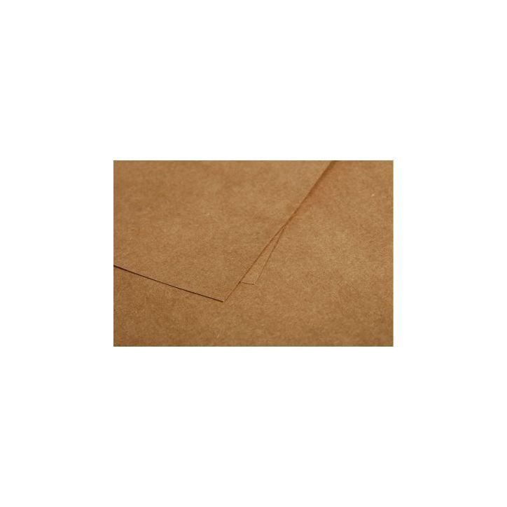 Paquet de 25 cartes Pollen 110x155mm 200g kraft 29016C POLLEN CLAIREFONTAINE