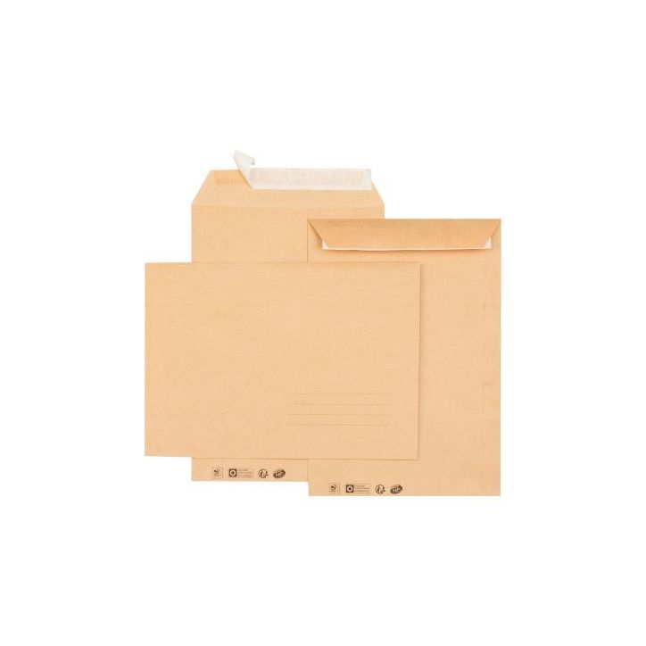 Paquet de 10 pochettes kraft 229x324mm 85g bande siliconée avec zone d'adresse 6633 GPV