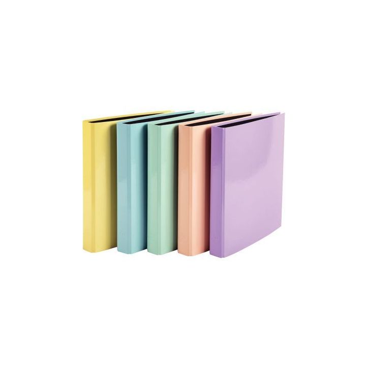 Carton de 10 classeurs 4 anneaux, dos 4 cm, en carte rigide pelliculée AQUAREL, coloris assortis 51560E x10 E