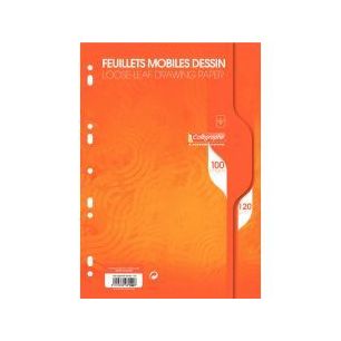 Achetez Sachet 50 feuillets mobiles dessin (100 pages) format 21x29,7 cm 120g uni blanc 7100C pas ch..
