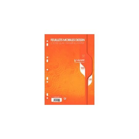 Achetez Sachet 50 feuillets mobiles dessin (100 pages) format 21x29,7 cm 120g uni blanc 7100C pas ch..