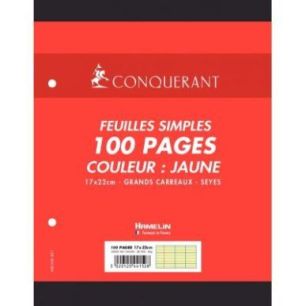 Achetez Sachet de 50 feuillets mobiles 17x22 cm seyès 80g, jaune 100104850 HAMELIN pas cher sur Ma ..