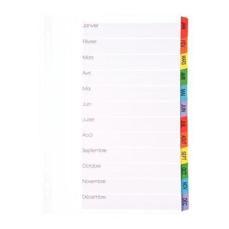 Achetez Intercalaires 12 touches de janvier à décembre format A4+ 8337412-980 LANDS pas cher sur M..