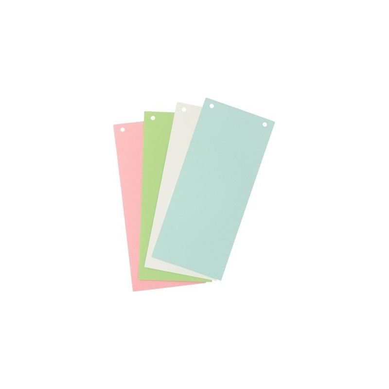 Achetez Paquet de 100 fiches intercalaires rectangulaires FOREVER 180g, coloris assortis 13495B FORE..