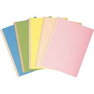 Paquet de 25 chemises rigides FOREVER dos toilé, coloris assortis 770000E FOREVER EXACOMPTA