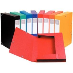 Achetez Carton de 10 boîtes de classement CARTOBOX en carte lustrée 7/10ème, dos de 40 mm, colori..