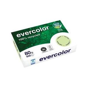 Achetez Carton de 5 ramettes de 500 feuilles format A4 80g vert recyclé 40004CX5 EVERCOLOR CLAIREFO..