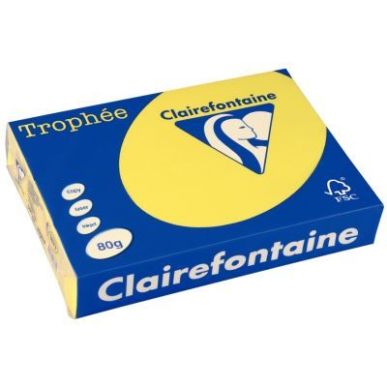 Achetez CLAIREFONTAINE Ramette de 500 feuilles papier couleur TROPHEE 80 grammes format A4 Jaune sol..
