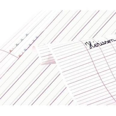 Achetez Paquet de 25 affiches imprimées, double lignes 3 mm, 60 x 80 cm 383501C CLAIREFONTAINE pas ..