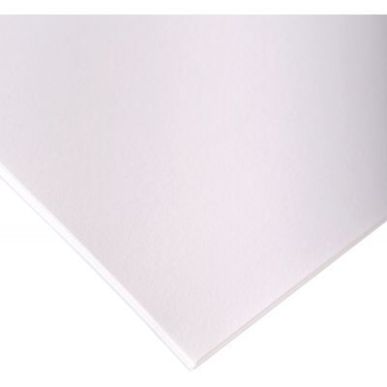 Achetez Paquet de 10 feuilles à dessin à grain 50x65cm 180g 93714C CLAIREFONTAINE pas cher sur Ma ..