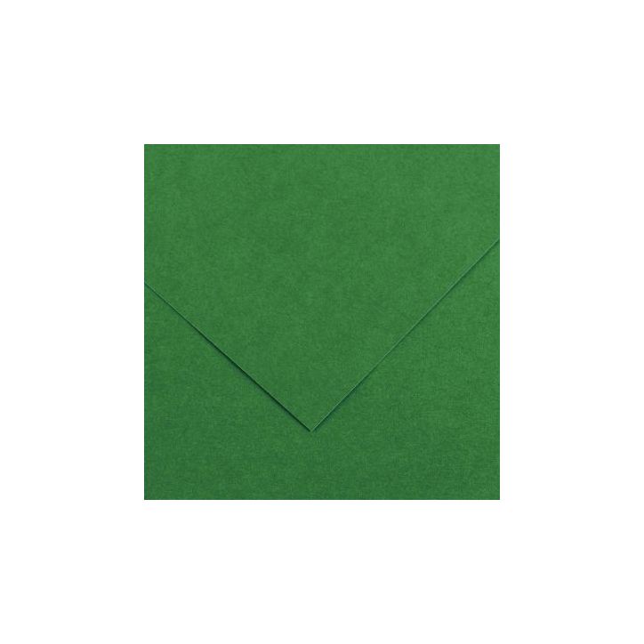 Paquet de 10 feuilles Colorline 50x65 cm 150 g vert mousse C200041406 CANSON