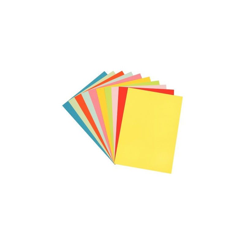 Achetez Paquet de 100 feuilles de papier couleur 160g format 50x65 cm 10 couleurs assorties 50X65/16..