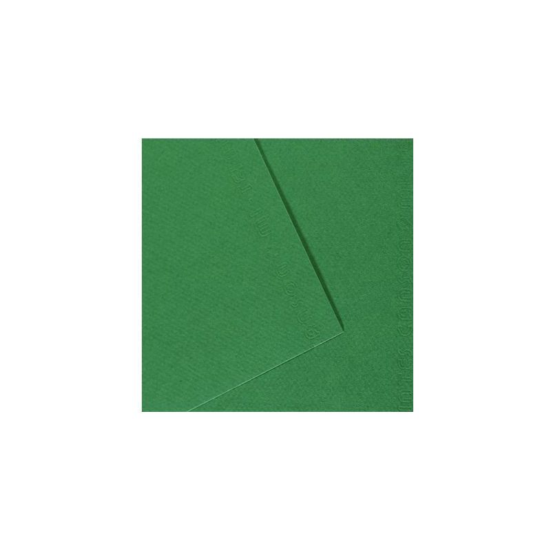 Achetez Paquet de 10 feuilles mi-teinte format 50x65 coloris vert billard C31032S114 CANSON pas cher..