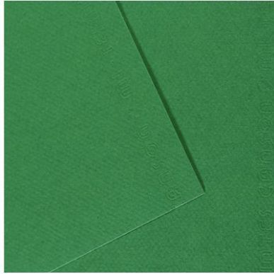 Achetez Paquet de 10 feuilles mi-teinte format 50x65 coloris vert billard C31032S114 CANSON pas cher..