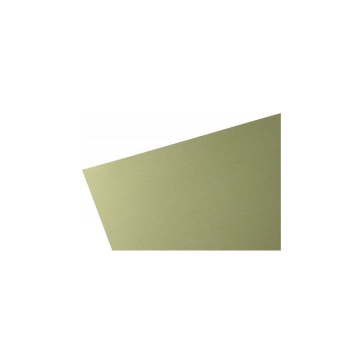 Paquet de 10 feuilles papier dessin couleur format 50x65 cm 160 g vert lierre 50X65/16010GL