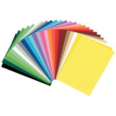 Achetez Paquet de 25 feuilles en carton coloris assortis, format 50 x 70 cm, 300 grammes 61/2599 pas..