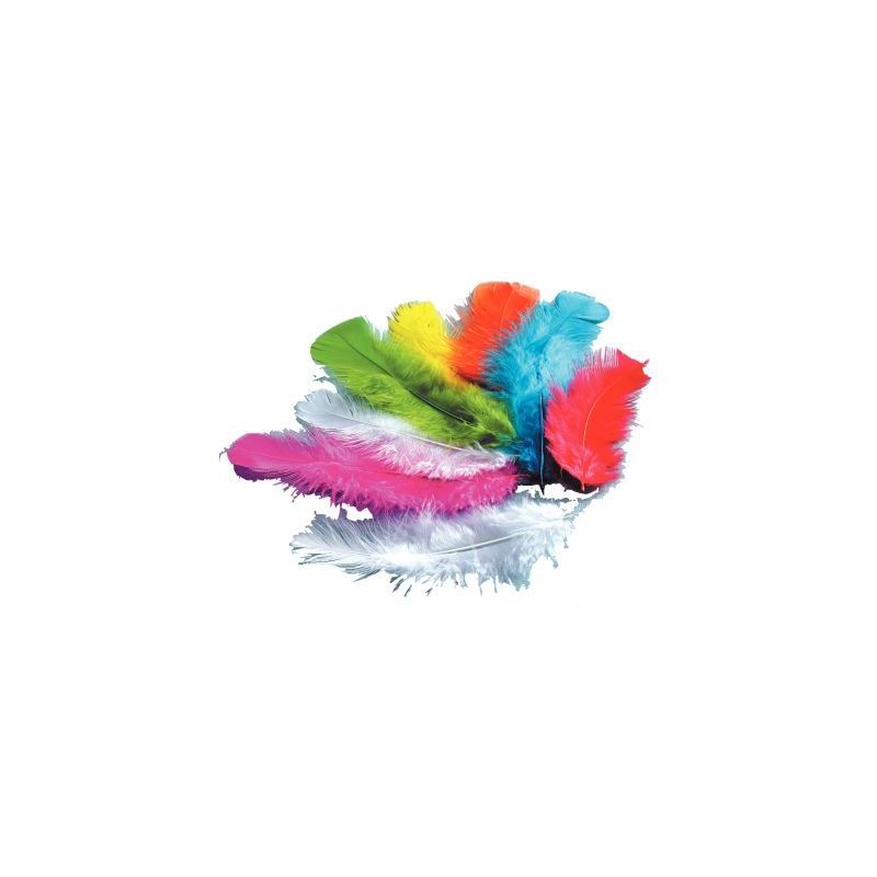 Achetez Sachet de 250 grammes de plumes de dinde assortis 460102 pas cher sur Ma Rentrée Scolaire Achetez Sachet de 250 grammes de plumes de dinde assortis 460102 pas cher sur Ma Rentrée Scolaire