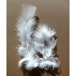 Achetez Sachet de 25 grammes de plumes de dinde, pieds plats blanc 460107 pas cher sur Ma Rentrée S..