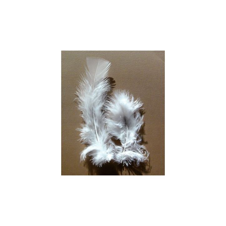 Sachet de 25 grammes de plumes de dinde, pieds plats blanc 460107