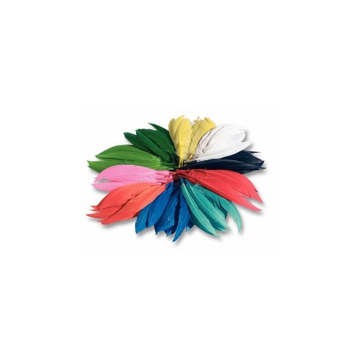 Sachet de 100 grammes de plumes d'indien couleurs assorties 55109