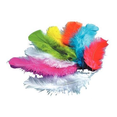 Achetez Sachet de 25 grammes de plumes de dinde assortis L789150 pas cher sur Ma Rentrée Scolaire