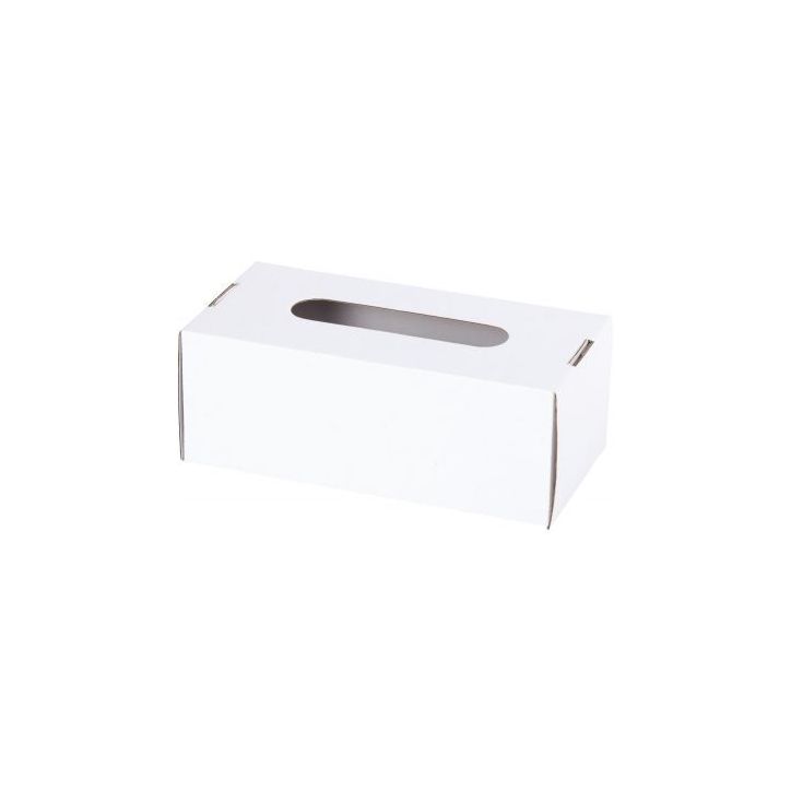 Lot de 10 boîtes à mouchoir en carton blanc à monter et décorer BM/GM/10