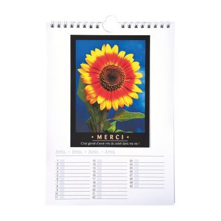 Achetez Calendrier à décorer format : 17x24 cm 2314 pas cher sur Ma Rentrée Scolaire