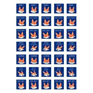 Achetez Pochette de 700 gommettes bon points appréciation AE161C MAILDOR CLAIREFONTAINE pas cher su..