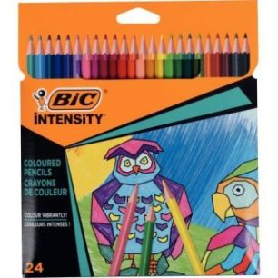 Achetez Pochette de 24 crayons de couleur Color Up 9641482 BIC pas cher sur Ma Rentrée Scolaire