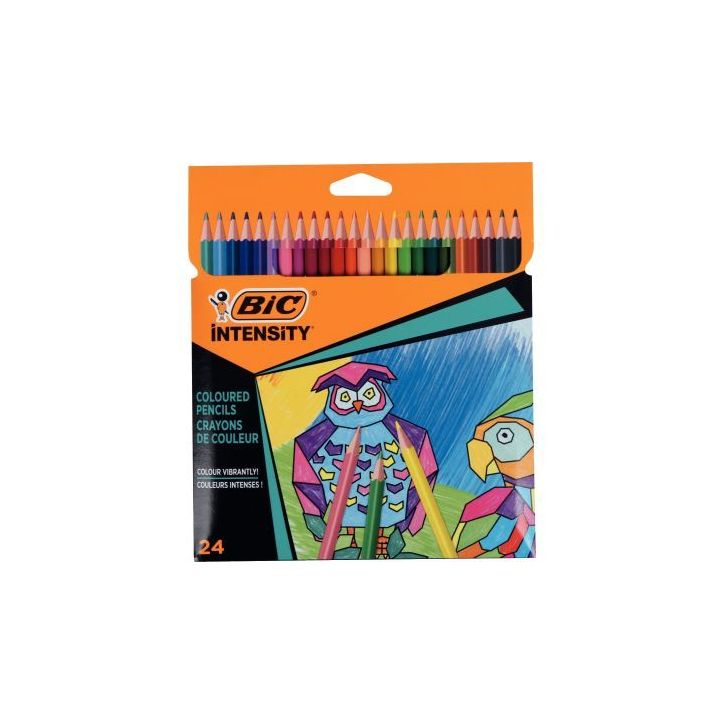 Pochette de 24 crayons de couleur Color Up 9641482 BIC