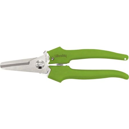 Article scolaire 287454