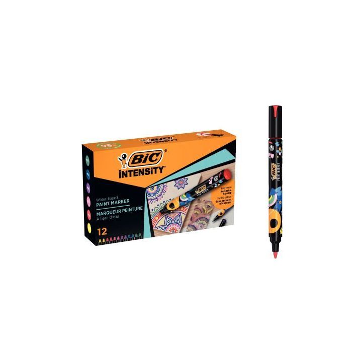 Boîte de 12 marqueurs peinture Intensity assortis 527426 BIC