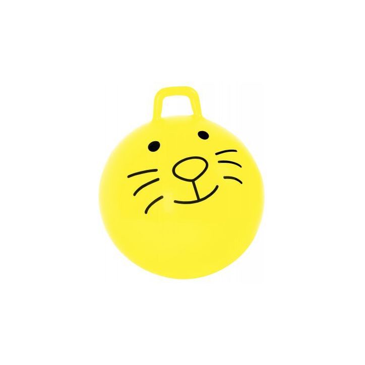 Ballon Sauteur 1er Prix - Diamétre 50cm LG0550