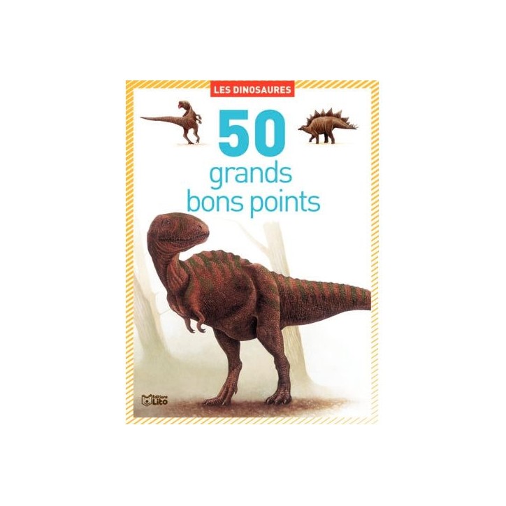 Boite de 50 grandes images Les dinosaures 01816 EDITIONS LITO